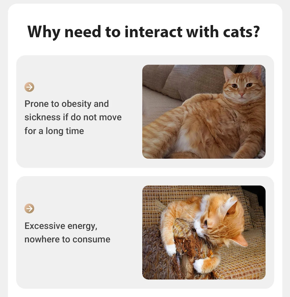 Automatic 360° Cat Laser Toy — Interactive Electric Teaser for Indoor Cats
