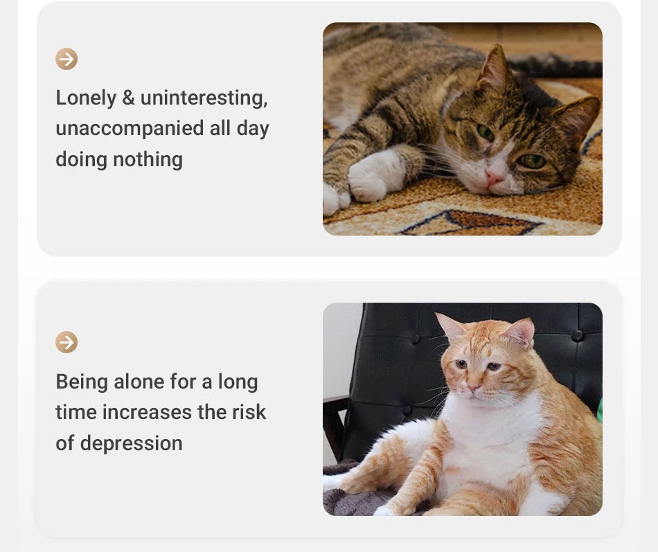 Automatic 360° Cat Laser Toy — Interactive Electric Teaser for Indoor Cats